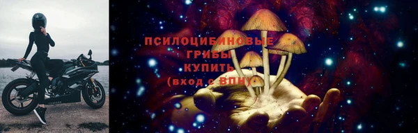 трава Арсеньев