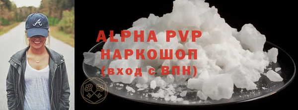 прущие грибы Ельня